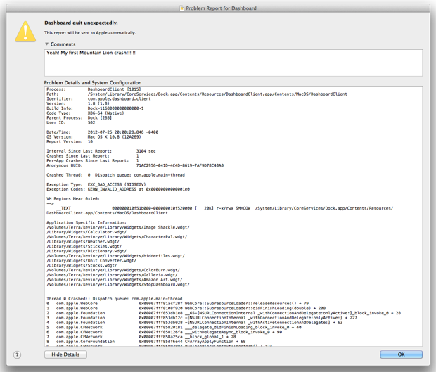 dashboard crash