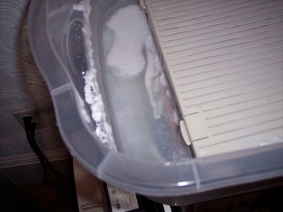 Pasted Graphic 462